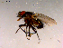  ( - 10PROBE-16303)  @12 [ ] CreativeCommons - Attribution (2011) CBG Photography Group Centre for Biodiversity Genomics