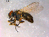  ( - 10PROBE-16362)  @13 [ ] CreativeCommons - Attribution (2011) CBG Photography Group Centre for Biodiversity Genomics