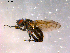  ( - 10PROBE-16376)  @13 [ ] CreativeCommons - Attribution (2011) CBG Photography Group Centre for Biodiversity Genomics