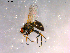  ( - 10PROBE-16378)  @13 [ ] CreativeCommons - Attribution (2011) CBG Photography Group Centre for Biodiversity Genomics