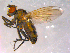  ( - 10PROBE-16425)  @12 [ ] CreativeCommons - Attribution (2011) CBG Photography Group Centre for Biodiversity Genomics