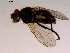  ( - 10PROBE-16437)  @12 [ ] CreativeCommons - Attribution (2011) CBG Photography Group Centre for Biodiversity Genomics