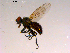  ( - 10PROBE-16445)  @13 [ ] CreativeCommons - Attribution (2011) CBG Photography Group Centre for Biodiversity Genomics