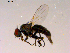  ( - 10PROBE-16453)  @13 [ ] CreativeCommons - Attribution (2011) CBG Photography Group Centre for Biodiversity Genomics