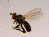  ( - 10PROBE-16456)  @12 [ ] CreativeCommons - Attribution (2011) CBG Photography Group Centre for Biodiversity Genomics