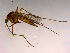  ( - 10PROBE-16460)  @13 [ ] CreativeCommons - Attribution (2011) CBG Photography Group Centre for Biodiversity Genomics