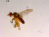  ( - 10PROBE-16482)  @12 [ ] CreativeCommons - Attribution (2011) CBG Photography Group Centre for Biodiversity Genomics