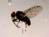  ( - 10PROBE-16627)  @12 [ ] CreativeCommons - Attribution (2011) CBG Photography Group Centre for Biodiversity Genomics