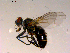  ( - 10PROBE-16653)  @12 [ ] CreativeCommons - Attribution (2011) CBG Photography Group Centre for Biodiversity Genomics