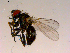  ( - 10PROBE-16663)  @13 [ ] CreativeCommons - Attribution (2011) CBG Photography Group Centre for Biodiversity Genomics