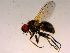  ( - 10PROBE-16664)  @13 [ ] CreativeCommons - Attribution (2011) CBG Photography Group Centre for Biodiversity Genomics