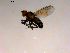  ( - 10PROBE-16711)  @12 [ ] CreativeCommons - Attribution (2011) CBG Photography Group Centre for Biodiversity Genomics