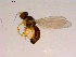  ( - 10PROBE-16713)  @13 [ ] CreativeCommons - Attribution (2011) CBG Photography Group Centre for Biodiversity Genomics