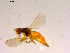  ( - 10PROBE-16714)  @12 [ ] CreativeCommons - Attribution (2011) CBG Photography Group Centre for Biodiversity Genomics