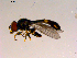  ( - 10PROBE-16792)  @12 [ ] CreativeCommons - Attribution (2011) CBG Photography Group Centre for Biodiversity Genomics