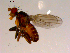  ( - 10PROBE-16799)  @13 [ ] CreativeCommons - Attribution (2011) CBG Photography Group Centre for Biodiversity Genomics