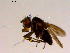  ( - 10PROBE-16842)  @12 [ ] CreativeCommons - Attribution (2011) CBG Photography Group Centre for Biodiversity Genomics