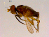  ( - 10PROBE-16851)  @12 [ ] CreativeCommons - Attribution (2011) CBG Photography Group Centre for Biodiversity Genomics