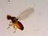  ( - 10PROBE-16868)  @12 [ ] CreativeCommons - Attribution (2011) CBG Photography Group Centre for Biodiversity Genomics