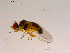  ( - 10PROBE-16869)  @13 [ ] CreativeCommons - Attribution (2011) CBG Photography Group Centre for Biodiversity Genomics