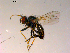 ( - 10PROBE-16884)  @13 [ ] CreativeCommons - Attribution (2011) CBG Photography Group Centre for Biodiversity Genomics
