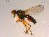  ( - 10PROBE-16892)  @13 [ ] CreativeCommons - Attribution (2011) CBG Photography Group Centre for Biodiversity Genomics