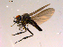  ( - 10PROBE-16901)  @13 [ ] CreativeCommons - Attribution (2011) CBG Photography Group Centre for Biodiversity Genomics