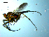  ( - 10PROBE-07797)  @13 [ ] CreativeCommons - Attribution (2011) CBG Photography Group Centre for Biodiversity Genomics