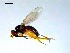  ( - 10PROBE-07877)  @12 [ ] CreativeCommons - Attribution (2011) CBG Photography Group Centre for Biodiversity Genomics