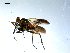  ( - 10PROBE-07879)  @13 [ ] CreativeCommons - Attribution (2011) CBG Photography Group Centre for Biodiversity Genomics