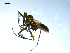 ( - 10PROBE-07978)  @13 [ ] CreativeCommons - Attribution (2011) CBG Photography Group Centre for Biodiversity Genomics