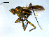  ( - 10PROBE-08114)  @14 [ ] CreativeCommons - Attribution (2011) CBG Photography Group Centre for Biodiversity Genomics