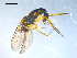  ( - 10PROBE-08171)  @12 [ ] CreativeCommons - Attribution (2011) CBG Photography Group Centre for Biodiversity Genomics