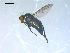  ( - 10PROBE-08232)  @12 [ ] CreativeCommons - Attribution (2011) CBG Photography Group Centre for Biodiversity Genomics