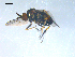  ( - 10PROBE-08272)  @12 [ ] CreativeCommons - Attribution (2011) CBG Photography Group Centre for Biodiversity Genomics