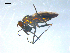  ( - 10PROBE-08282)  @13 [ ] CreativeCommons - Attribution (2011) CBG Photography Group Centre for Biodiversity Genomics