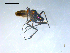  ( - 10PROBE-08296)  @13 [ ] CreativeCommons - Attribution (2011) CBG Photography Group Centre for Biodiversity Genomics