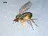  ( - 10PROBE-08308)  @13 [ ] CreativeCommons - Attribution (2011) CBG Photography Group Centre for Biodiversity Genomics