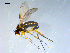  ( - 10PROBE-08310)  @12 [ ] CreativeCommons - Attribution (2011) CBG Photography Group Centre for Biodiversity Genomics