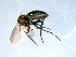  ( - 10PROBE-08322)  @12 [ ] CreativeCommons - Attribution (2011) CBG Photography Group Centre for Biodiversity Genomics