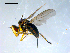  ( - 10PROBE-08349)  @12 [ ] CreativeCommons - Attribution (2011) CBG Photography Group Centre for Biodiversity Genomics
