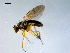  ( - 10PROBE-09124)  @12 [ ] CreativeCommons - Attribution (2011) CBG Photography Group Centre for Biodiversity Genomics