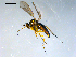  ( - 10PROBE-09133)  @12 [ ] CreativeCommons - Attribution (2011) CBG Photography Group Centre for Biodiversity Genomics