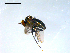  ( - 10PROBE-09135)  @13 [ ] CreativeCommons - Attribution (2011) CBG Photography Group Centre for Biodiversity Genomics