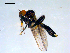  ( - 10PROBE-09147)  @13 [ ] CreativeCommons - Attribution (2011) CBG Photography Group Centre for Biodiversity Genomics