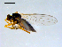  ( - 10PROBE-09153)  @12 [ ] CreativeCommons - Attribution (2011) CBG Photography Group Centre for Biodiversity Genomics