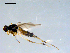 ( - 10PROBE-09162)  @12 [ ] CreativeCommons - Attribution (2011) CBG Photography Group Centre for Biodiversity Genomics