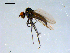  ( - 10PROBE-09169)  @13 [ ] CreativeCommons - Attribution (2011) CBG Photography Group Centre for Biodiversity Genomics