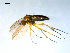  ( - 10PROBE-09174)  @13 [ ] CreativeCommons - Attribution (2011) CBG Photography Group Centre for Biodiversity Genomics