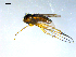  ( - 10PROBE-09189)  @12 [ ] CreativeCommons - Attribution (2011) CBG Photography Group Centre for Biodiversity Genomics